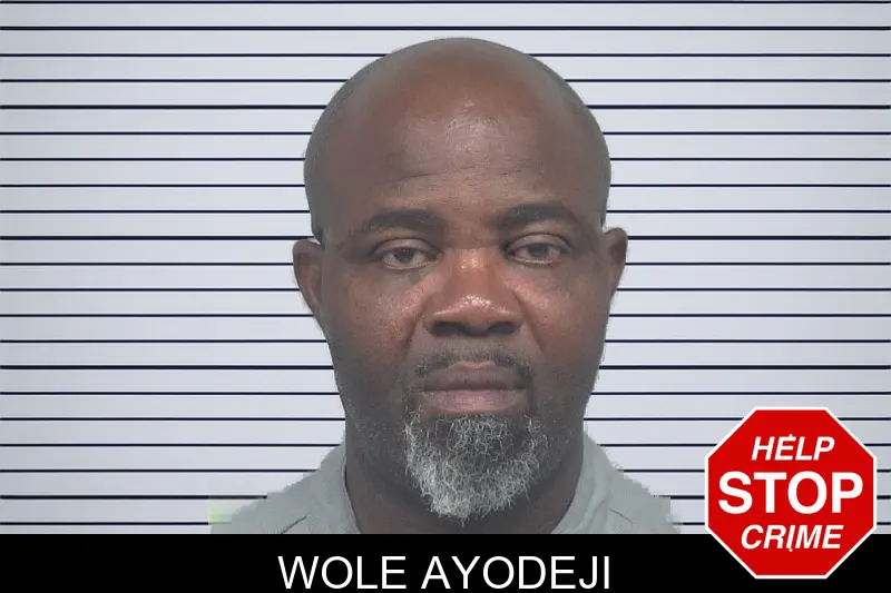 Wole Ayodeji mugshot