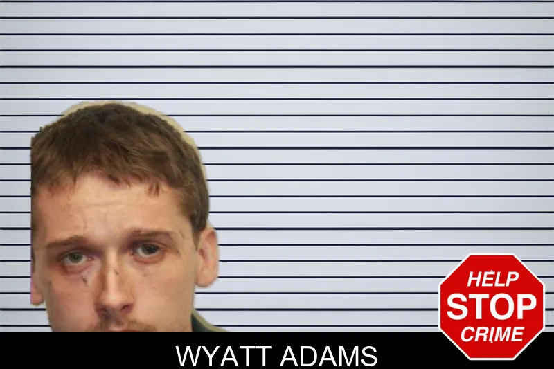 Wyatt Adams mugshot – Chatham County , Georgia Wyatt Adams mugshot
