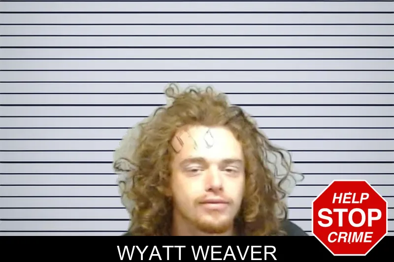 Wyatt Weaver mugshot