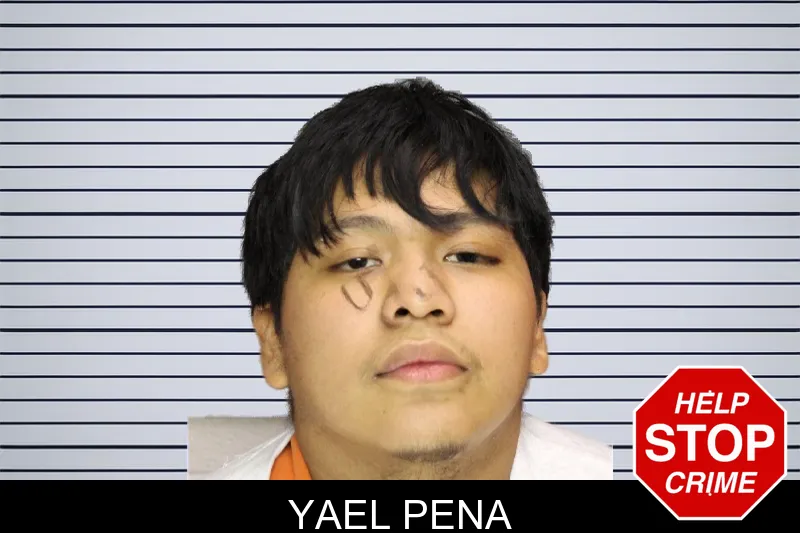 Yael Pena mugshot