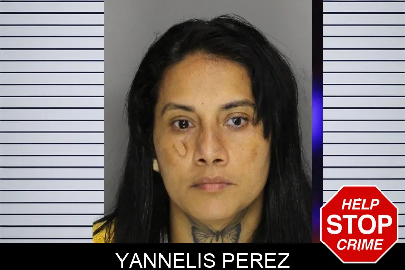 Yannelis Perez mugshot – Cobb County , Georgia Yannelis Perez mugshot
