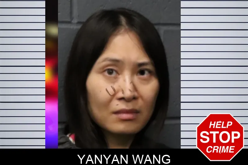 Yanyan Wang mugshot – Forsyth County , Georgia Yanyan Wang mugshot