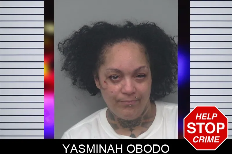 Yasminah Obodo mugshot – Gwinnett County , Georgia Yasminah Obodo mugshot