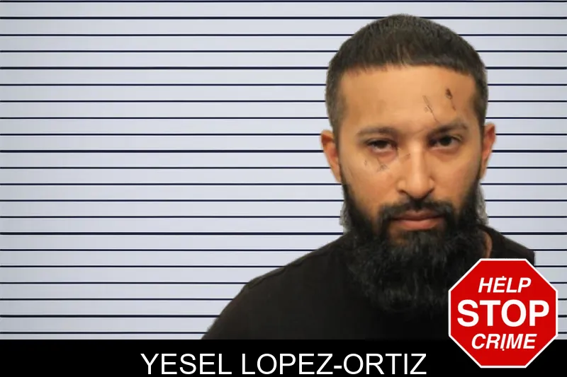 Yesel Lopez-Ortiz mugshot – Chatham County , Georgia Yesel Lopez-Ortiz mugshot