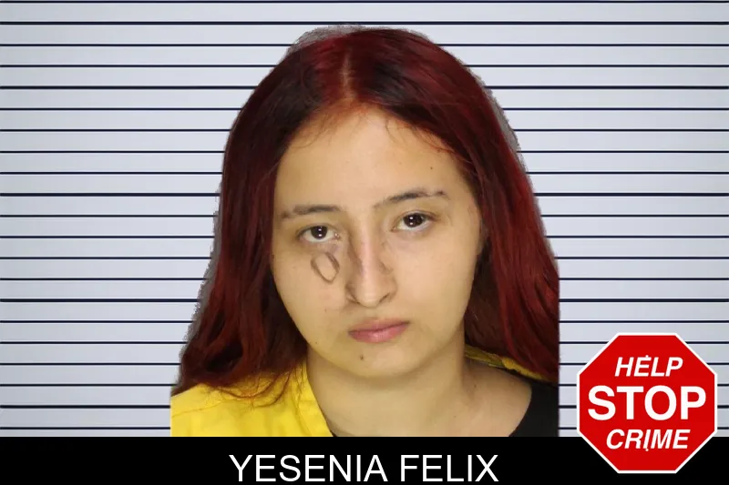 Yesenia Felix mugshot