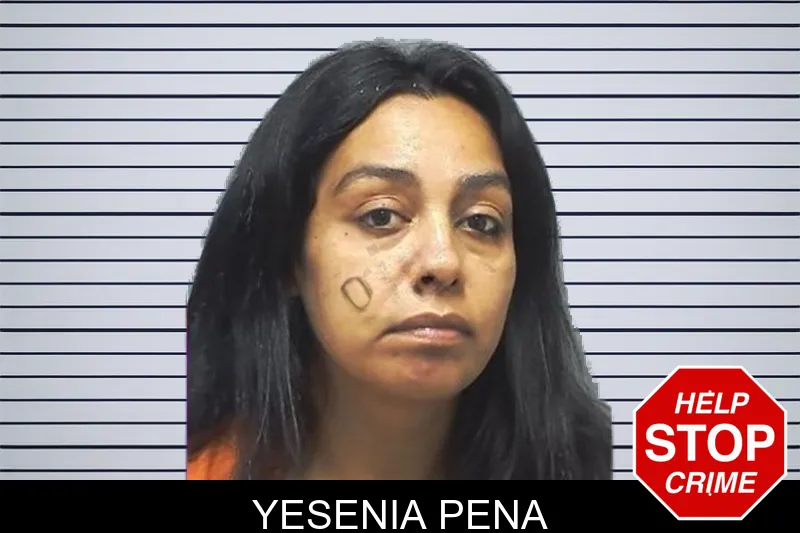 Yesenia Pena mugshot