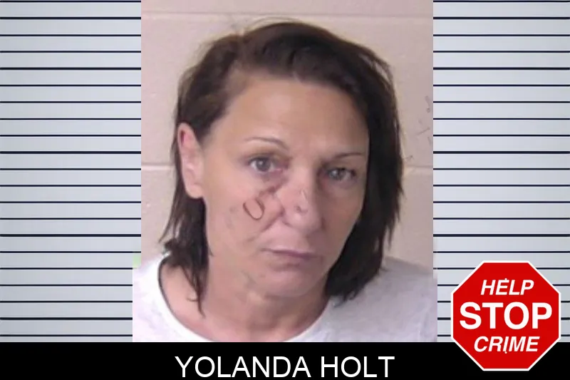 Yolanda Holt mugshot – Walker County , Georgia Yolanda Holt mugshot