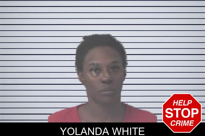 Yolanda White mugshot