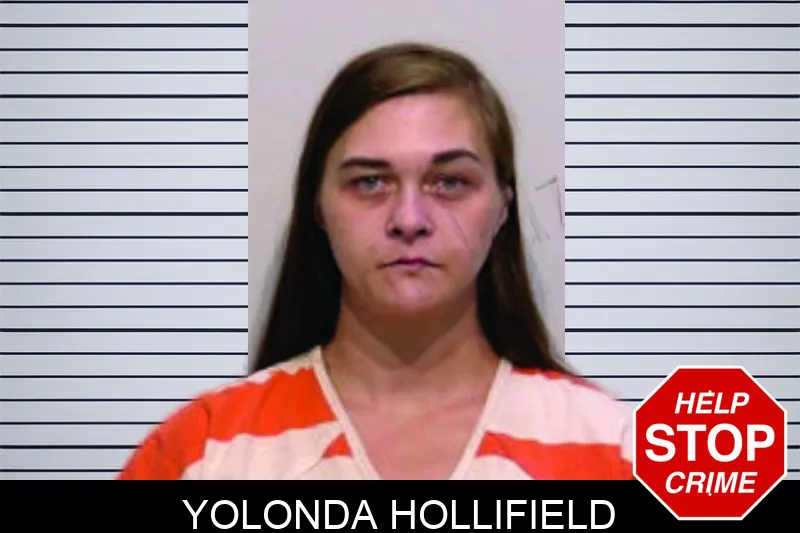 Yolonda Hollifield mugshot – Bartow County , Georgia Yolonda Hollifield mugshot