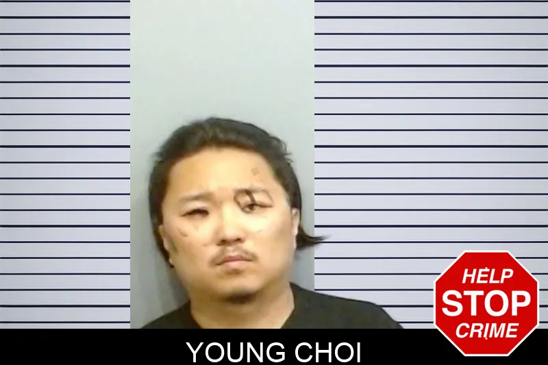 Young Choi mugshot – Fulton County , Georgia Young Choi mugshot