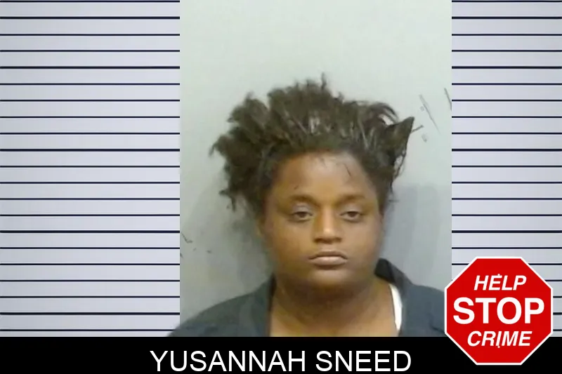Yusannah Sneed mugshot – Fulton County , Georgia Yusannah Sneed mugshot