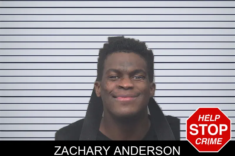 Zachary Anderson mugshot – Gwinnett County , Georgia Zachary Anderson mugshot