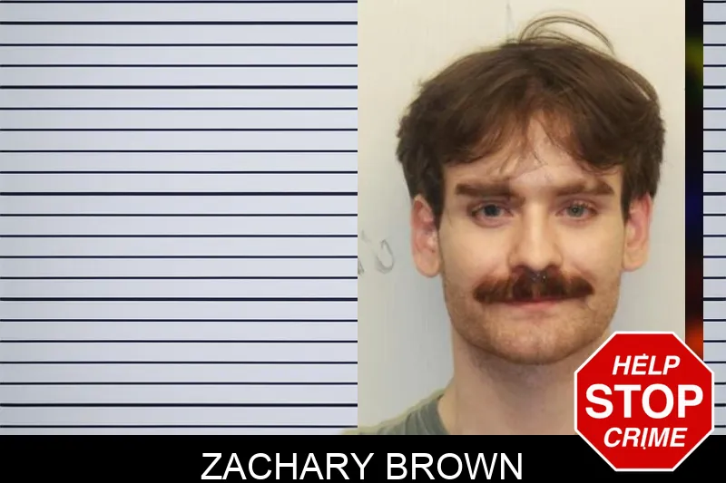 Zachary Brown mugshot – Chatham County , Georgia Zachary Brown mugshot