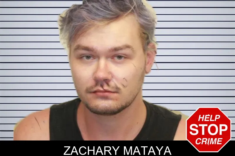 Zachary Mataya mugshot – Chatham County , Georgia Zachary Mataya mugshot