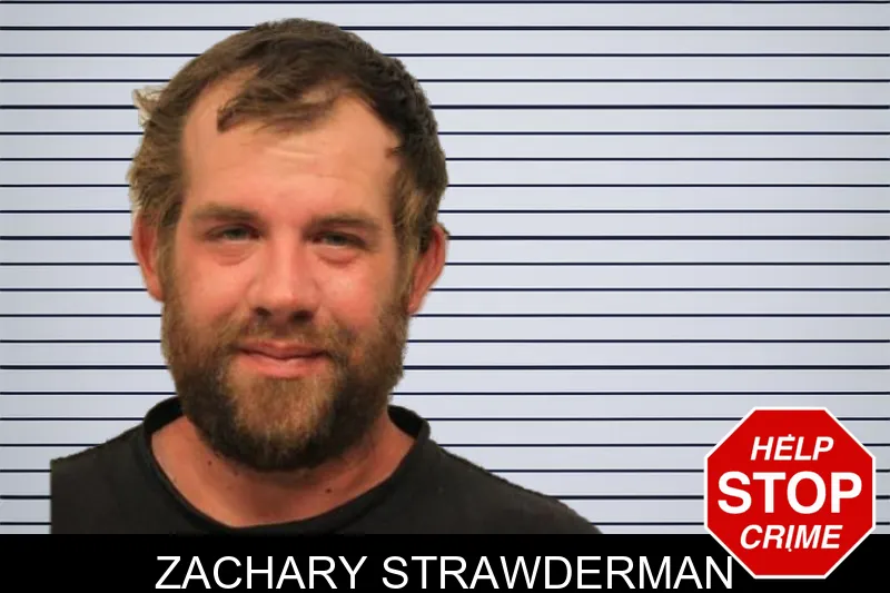 Zachary Strawderman mugshot – Chatham County , Georgia Zachary Strawderman mugshot