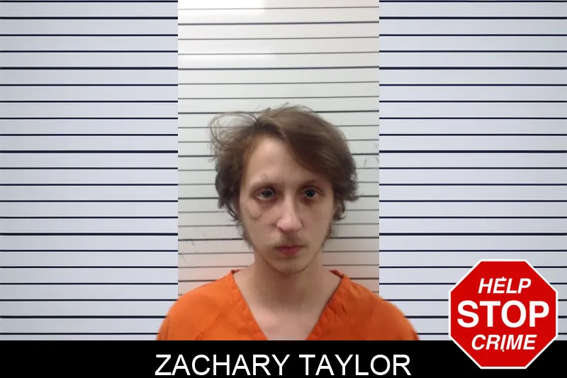 Zachary Taylor mugshot