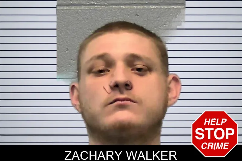 Zachary Walker mugshot