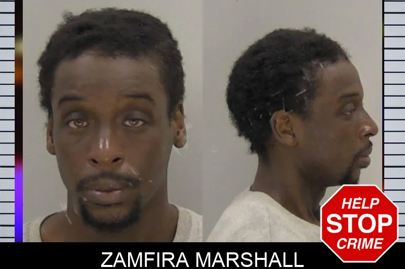 Zamfira Marshall mugshot