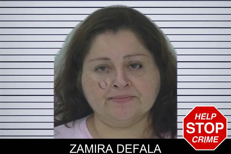Zamira Defala mugshot – Fayette County , Georgia Zamira Defala mugshot
