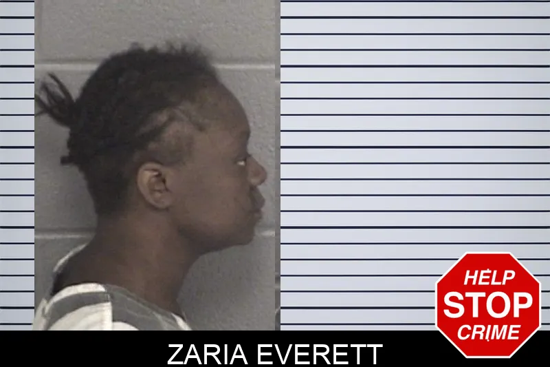 Zaria Everett mugshot – Barrow County , Georgia Zaria Everett mugshot