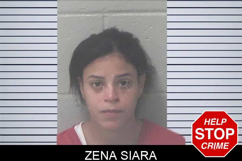 Zena Siara mugshot – Newton County , Georgia Zena Siara mugshot