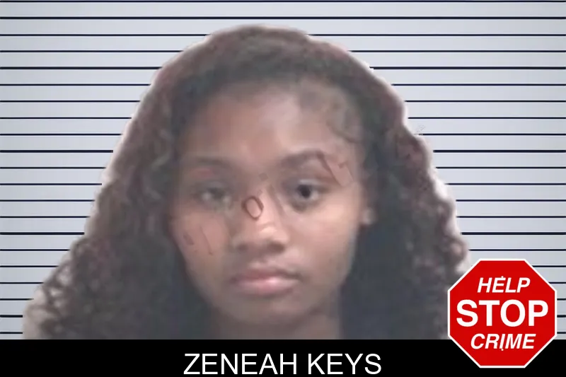 Zeneah Keys mugshot – Henry County , Georgia Zeneah Keys mugshot