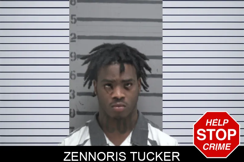 Zennoris Tucker mugshot – Dougherty County , Georgia Zennoris Tucker mugshot