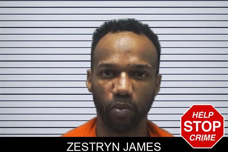 Zestryn James mugshot