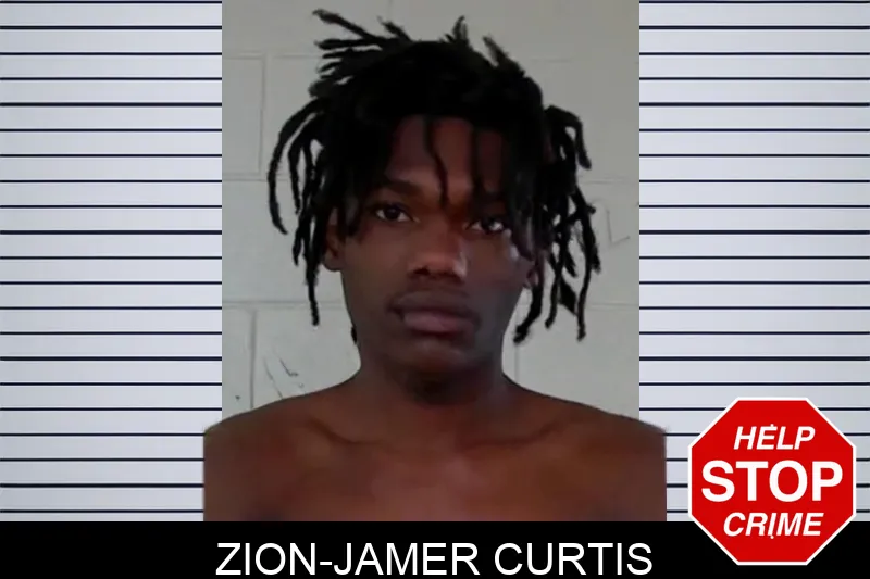 Zion-Jamer Curtis mugshot – Liberty County , Georgia Zion-Jamer Curtis mugshot