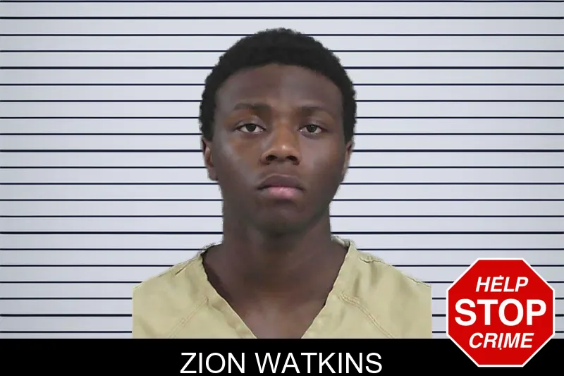 Zion Watkins mugshot