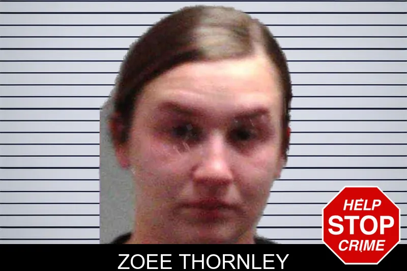 Zoee Thornley mugshot – Burke County , Georgia Zoee Thornley mugshot
