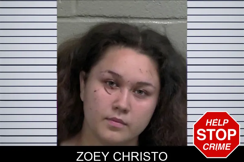 Zoey Christo mugshot – Wayne County , Georgia Zoey Christo mugshot