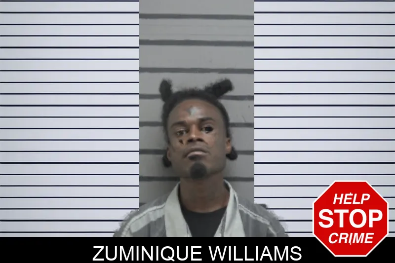 Zuminique Williams mugshot – Dougherty County , Georgia Zuminique Williams mugshot
