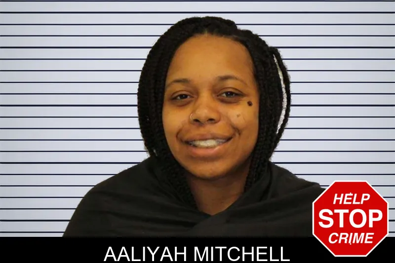 Aaliyah Mitchell mugshot – Carroll County , Georgia Aaliyah Mitchell mugshot
