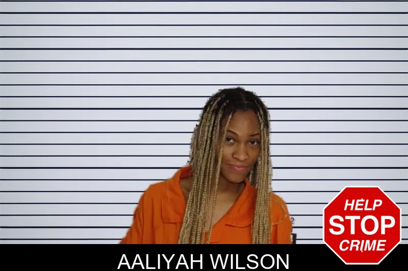 Aaliyah Wilson mugshot – Rockdale County , Georgia Aaliyah Wilson mugshot