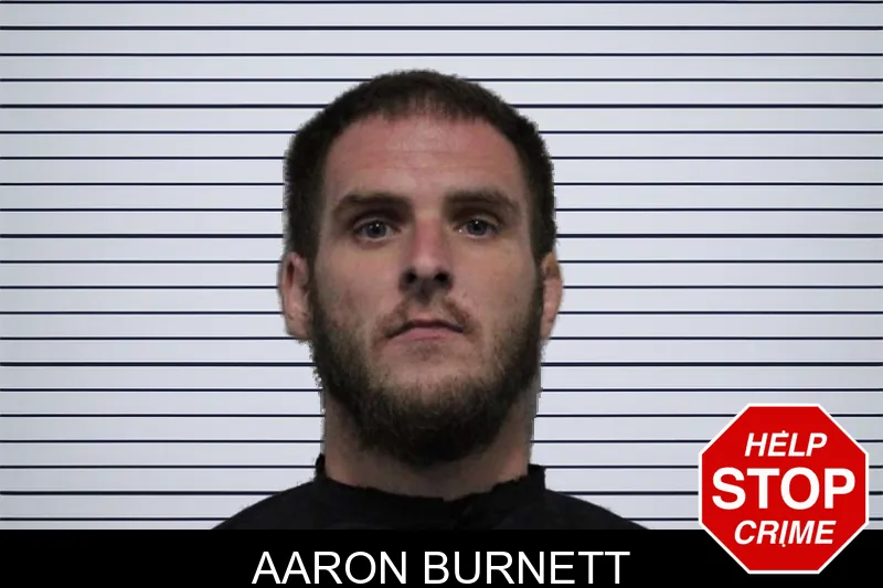 Aaron Burnett mugshot