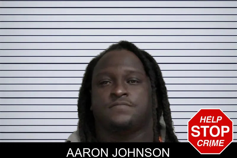 Aaron Johnson mugshot – Wayne County , Georgia Aaron Johnson mugshot