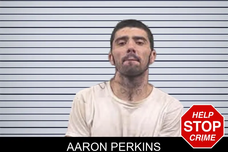 Aaron Perkins mugshot – Banks County , Georgia Aaron Perkins mugshot