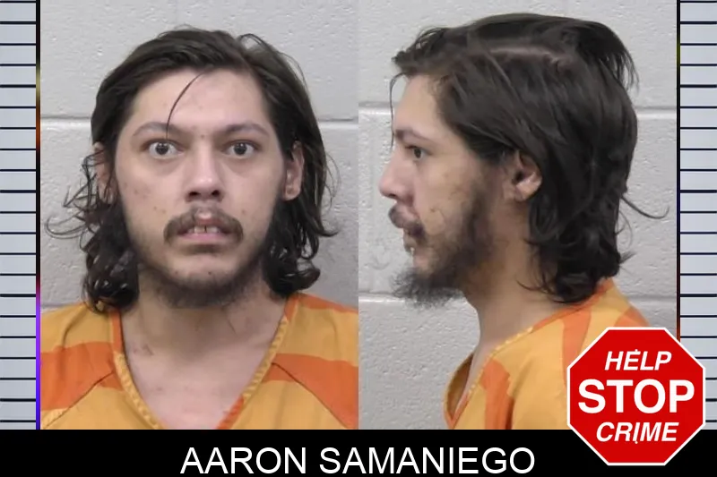 Aaron Samaniego mugshot