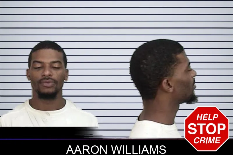 Aaron Williams mugshot – Camden County , Georgia Aaron Williams mugshot