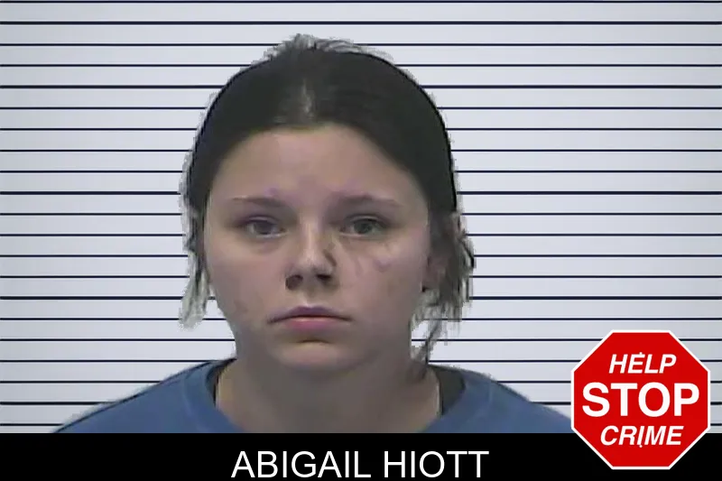 Abigail Hiott mugshot – Dawson County , Georgia Abigail Hiott mugshot
