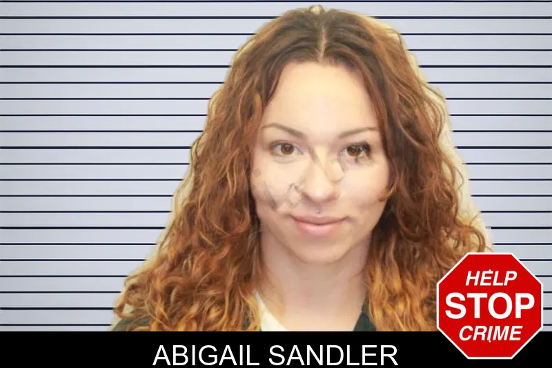 Abigail Sandler mugshot – Chatham County , Georgia Abigail Sandler mugshot