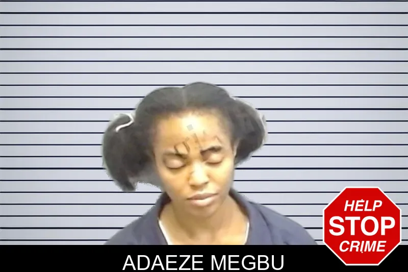 Adaeze Megbu mugshot – Fulton County , Georgia Adaeze Megbu mugshot