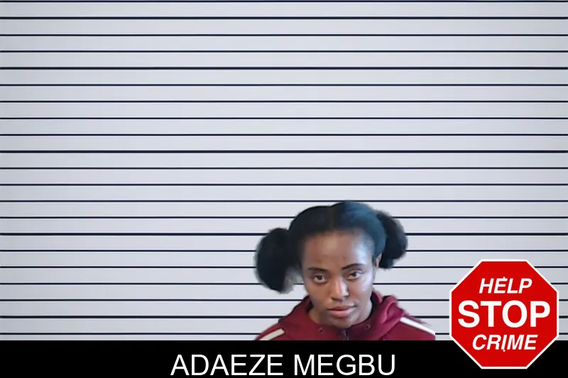 Adaeze Megbu mugshot – DeKalb County , Georgia Adaeze Megbu mugshot
