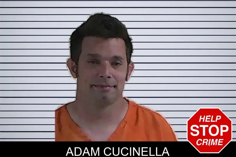Adam Cucinella mugshot – Fannin County , Georgia Adam Cucinella mugshot