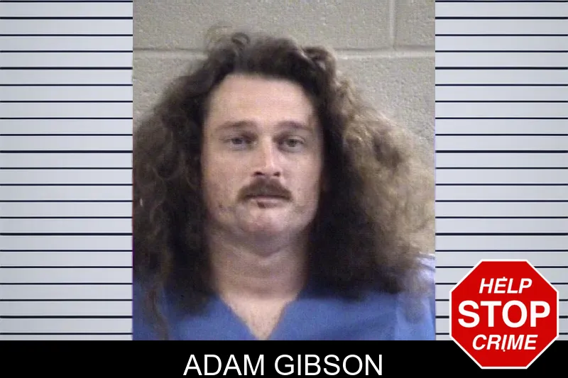 Adam Gibson mugshot – Whitfield County , Georgia Adam Gibson mugshot