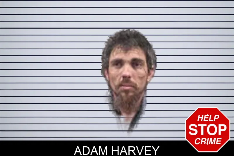Adam Harvey mugshot – Banks County , Georgia Adam Harvey mugshot