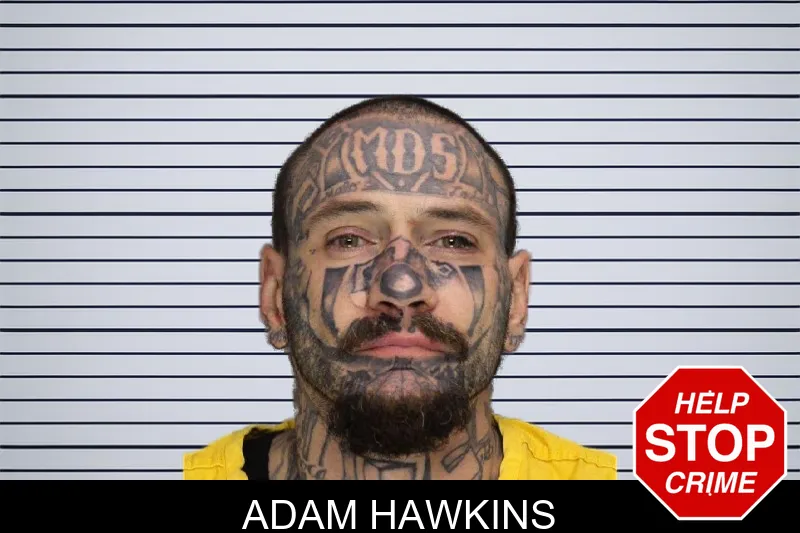 Adam Hawkins mugshot