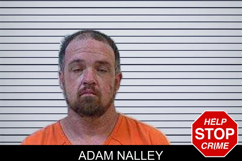 Adam Nalley mugshot