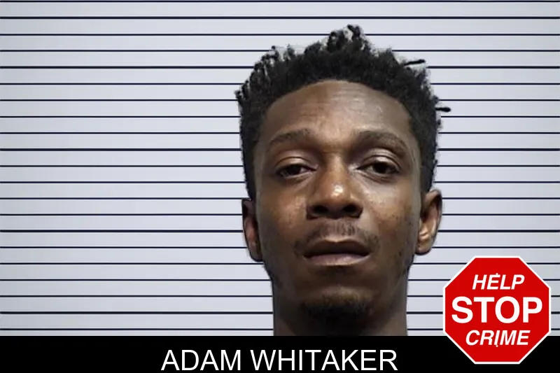Adam Whitaker mugshot
